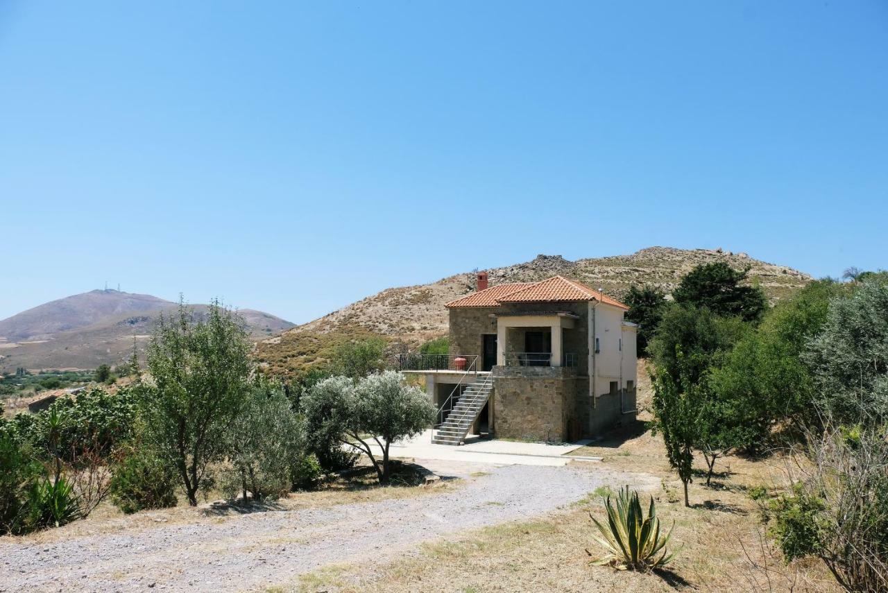 Stone House Of Panos Kornos Exterior foto